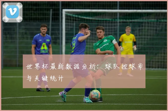 世界杯最新数据分析:球队控球率与关键统计