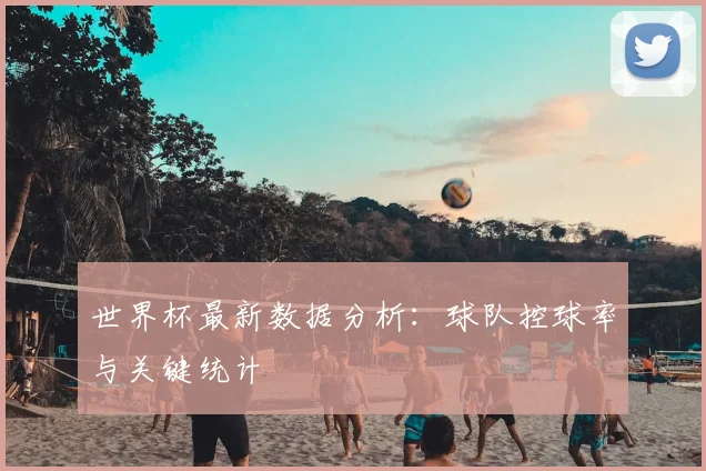 世界杯最新数据分析：球队控球率与关键统计