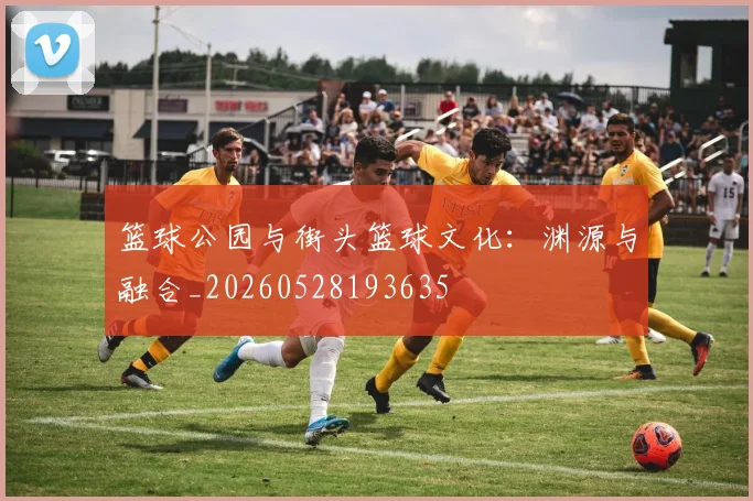 篮球公园与街头篮球文化:渊源与融合_20260528193635