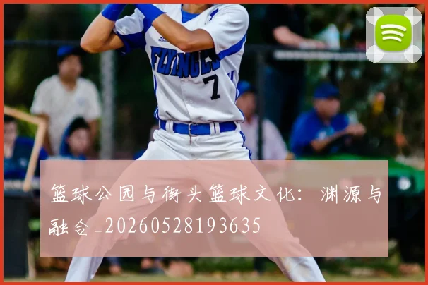 篮球公园与街头篮球文化:渊源与融合_20260528193635